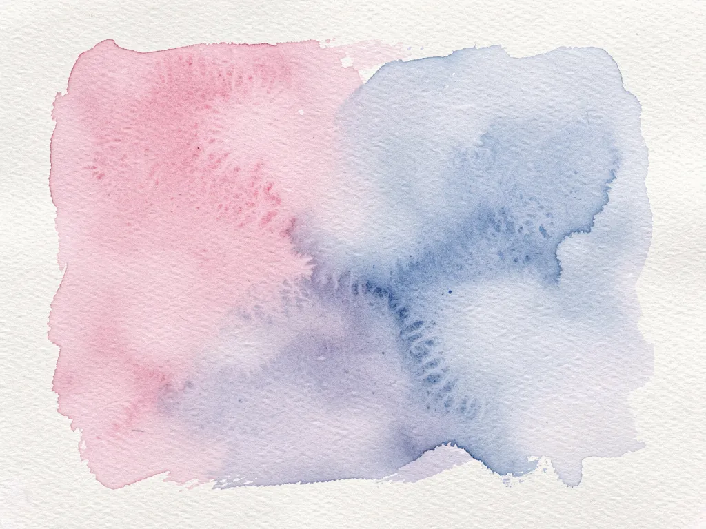 12847702-a569-47da-9051-a04774f418e9-5.webp