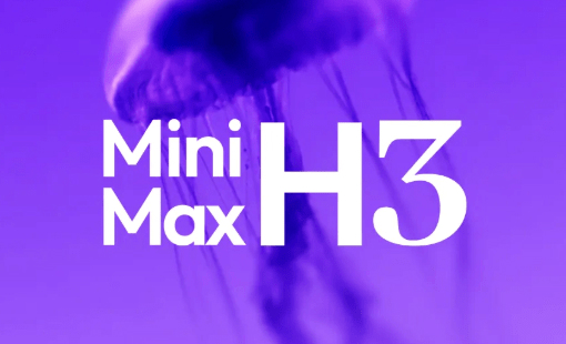 minimax-h-3.jpg